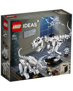 LEGO 21320 Dinosaur Fossils